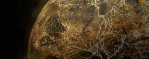 Symbolbild zum Artikel. Der Link öffnet das Bild in einer großen Anzeige.